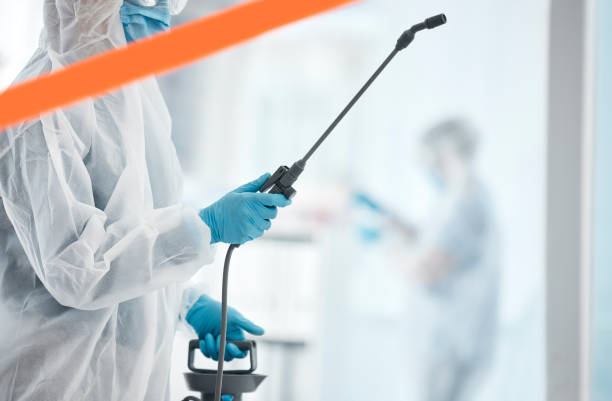 Hospital, cleaning and covid sanitation by professional cleaner spray, disinfect and bacteria prevention. Safety, wash and cleaning service by man in healthcare clinic, hygiene and corona compliance