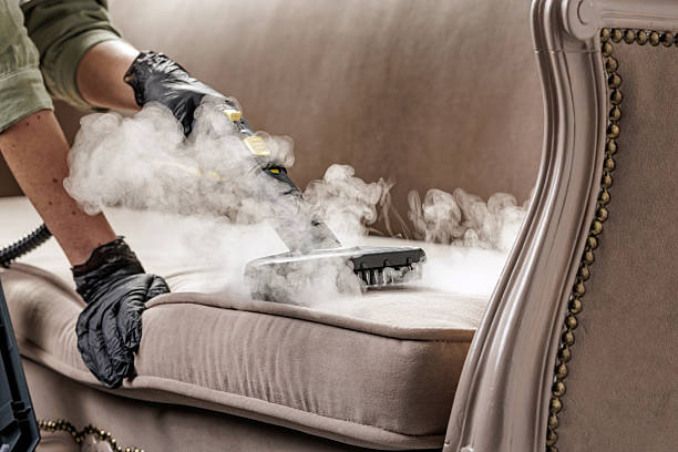 Close-up of gloved worker steam cleaning a sofa cushion, for cleaning company website banner or ad about upholstery sanitation.
