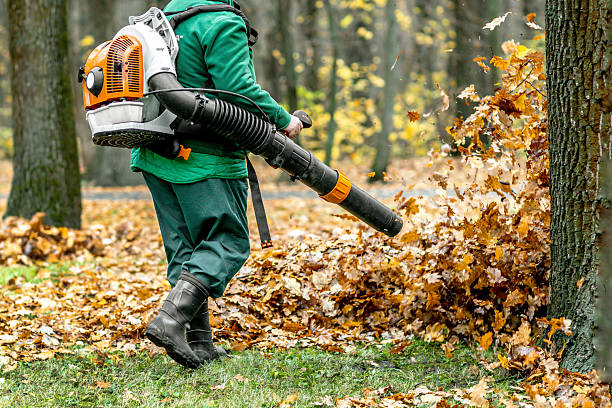 Municipal workers clean fallen leaves in a city park using lawn equipment  leaf blower. Autumn day, maintenance and care for cleanliness.